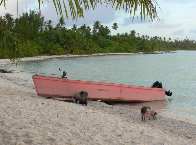 129- La barque de Kalami 